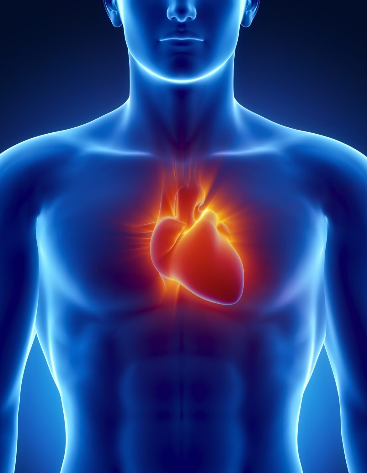 Human heart in detail with glowing rays (foto: @CLIPAREA depositphotos)