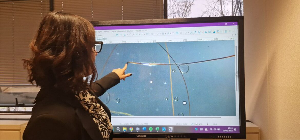 328040c1-521b-4279-b87b-ff95ed705d52