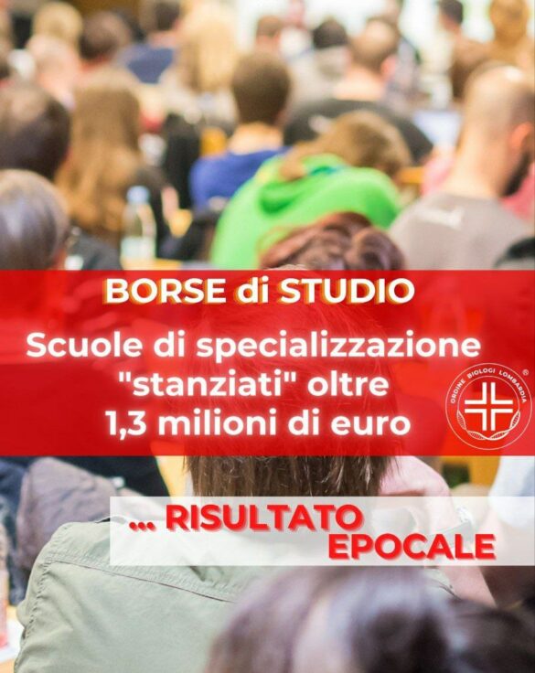 borse studio